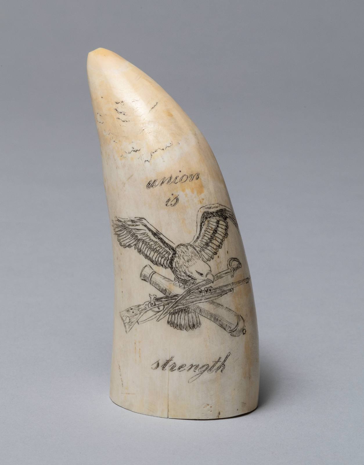 Korea [scrimshaw whale tooth]