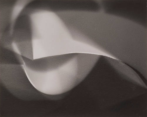 Untitled [Photogram]