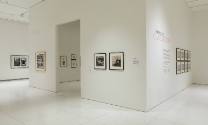 Installation view of Museum as Classroom (Spring 2021) at the Smart Museum of Art, April 9 - Ju…
