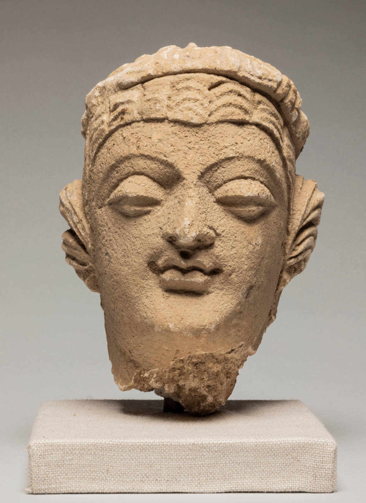 Head of a Buddha