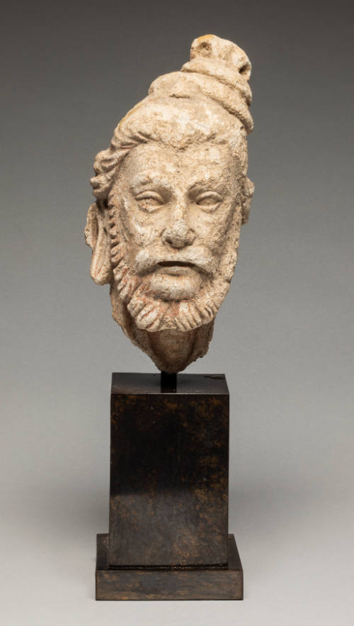 Head of a Bearded Ascetic