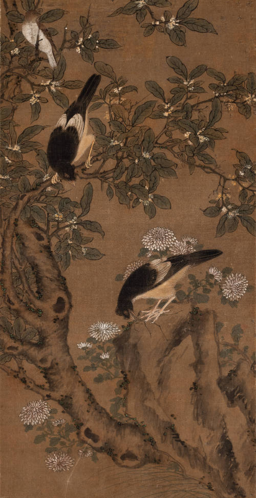 Three Birds and Flowering Plants