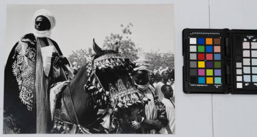 A chief with his purple velvet robe and beautifully decorated horse waiting for ceremonial parade during the festival of Ramadan in Kano, Northern Region, Nigeria