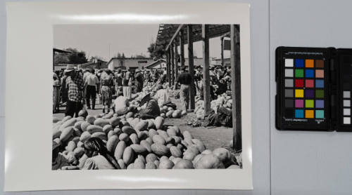 Watermelon market, Samarkand, Uzbekistan