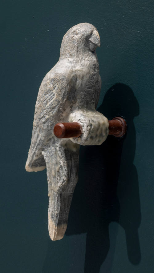 Bird is the Word: North Carolina Variation