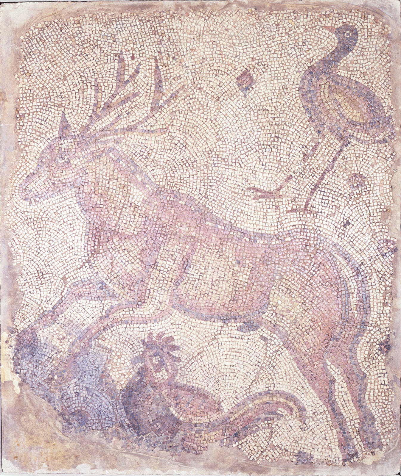 Floor Fragment: Deer and Duck