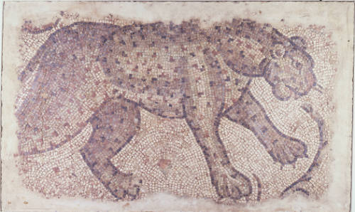 Floor Fragment: Rampant Tiger